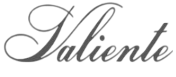 logo1